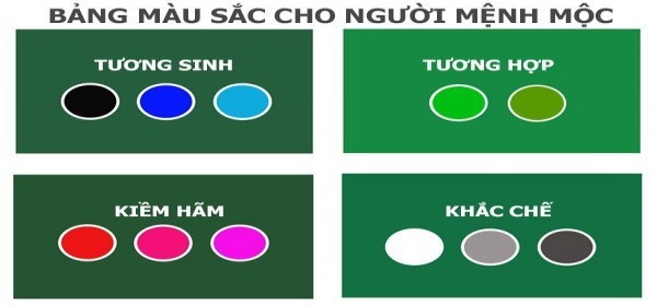 Những Màu Sắc Hợp Mệnh Mộc Và Khắc Kỵ Với Mệnh Mộc