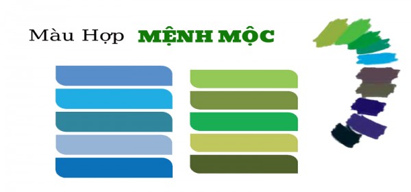 Mệnh Mộc Hợp Màu Gì Trong Kinh Doanh Thu Hút May Mắn?